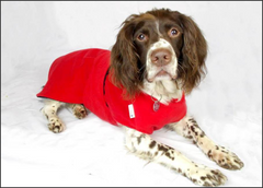 Underbelly Dog Drying Coat