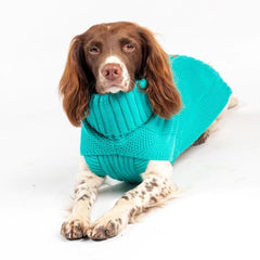 The Jazz Dog Jumper in Peacock Blue