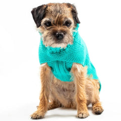 The Jazz Dog Jumper in Peacock Blue