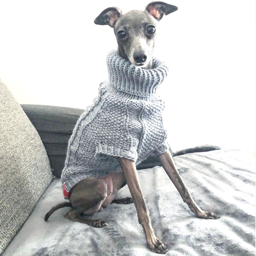 Wooldog Classic Light Graphite Grey Hand-Knitted Dog Jumper