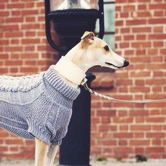 Wooldog Classic Light Graphite Grey Hand-Knitted Dog Jumper