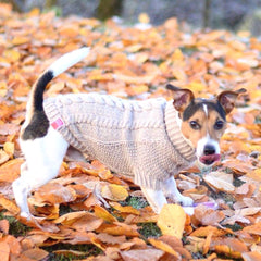 Wooldog Classic Milk Caramel Hand-Knitted Dog Jumper