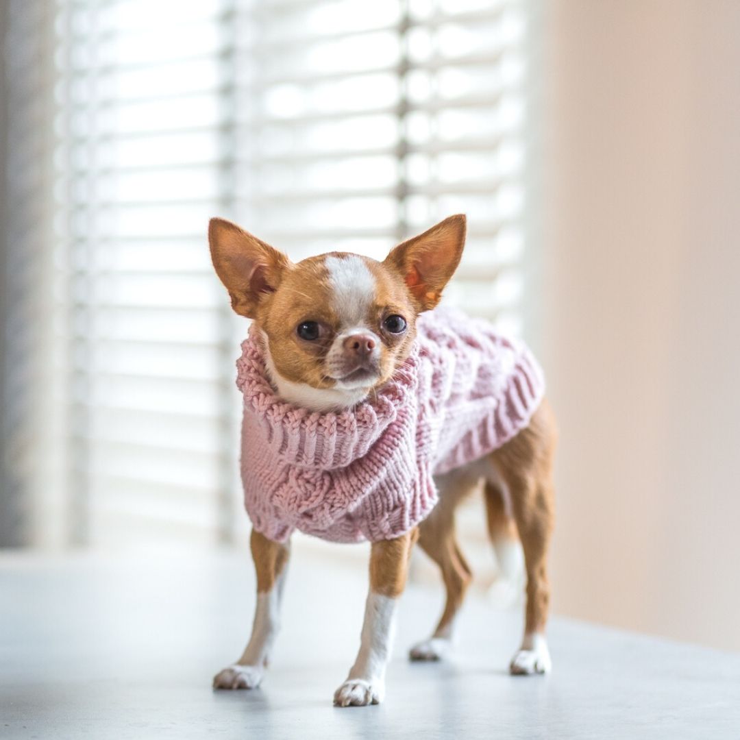 Wooldog Supreme 100 Merino Wool Pink Powder Hand Knitted Dog Jumper XX Small No Thank You