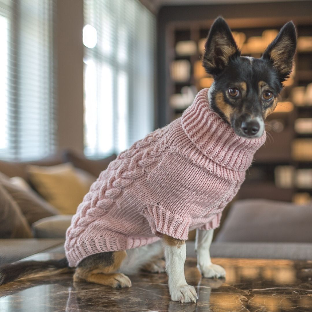 Wooldog Supreme 100% Merino Wool Pink Powder Hand-Knitted Dog Jumper