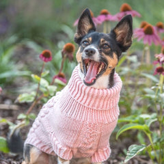 Wooldog Supreme 100% Merino Wool Pink Powder Hand-Knitted Dog Jumper