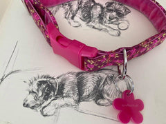 Plumpton Designer Dog Collar Scrufts | Chelsea Dogs
