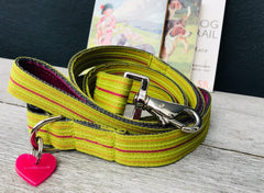 Roobarb Striped Dog Collar and Lead Set by Scrufts