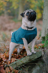 Teal Cable Knit Dog Jumper by Sotnos