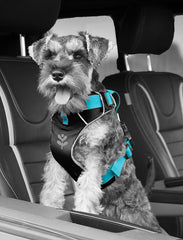 Sotnos Travel Safety & Walking Harness Teal