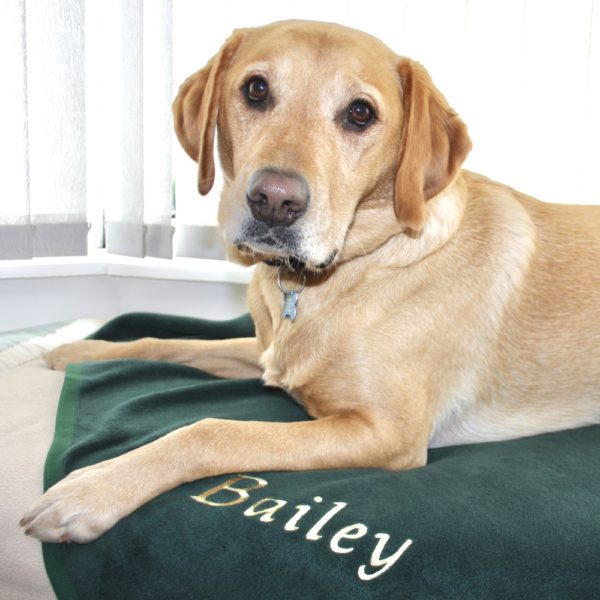 Luxury Personalised Pet Blankets In Forest Green