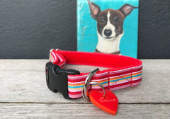 Designer Dog Collar and Lead Set Raspberry Ripple