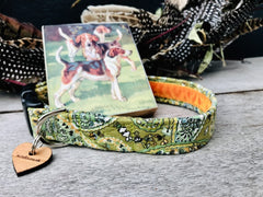 Nutley Corduroy Designer Dog Collar