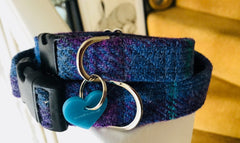 Skinny Heather Blue Velvet Lined Harris Tweed Designer Dog Collar
