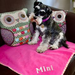 Luxury Personalised Pet Blankets In Cerise Pink & Green Apple Stripe