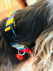 Margate Striped Velvet Lined Designer Dog Collar