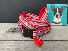 Designer Dog Collar and Lead Set Raspberry Ripple