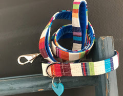 Brighton Rocks Designer Dog Collar