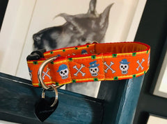 Jack O'Lantern Halloween Velvet Lined Designer Dog Collar
