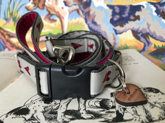 Rhubi Designer Dog Collar And Lead Set Scrufts