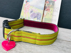 Roobarb Striped Dog Collar and Lead Set by Scrufts