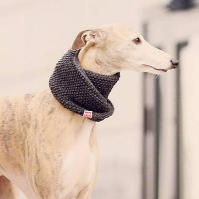 Wooldog Necky Dark Graphite Grey Dog Neck Cowl