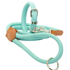 Aqua Rolled Leather Dog Collar and Lead by Dogs & Horses