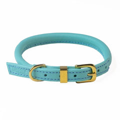 Dogs & Horses Rolled Leather Dog Collar and Lead Set Aqua
