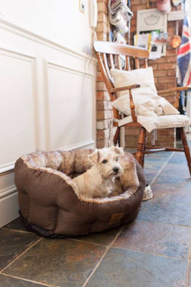 Arctic Fox Faux Fur Luxury Dog Bed by House of Paws Chelsea Dogs