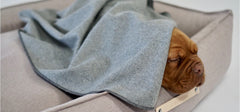 Asnen Silver Grey Dog Blanket by Labbvenn