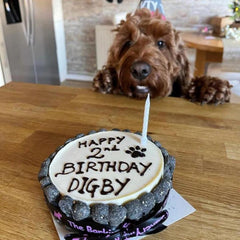 Barking Bakery Hand Written Vanilla Pawty Cake For Dogs