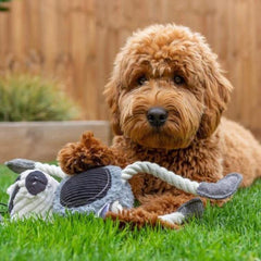 Baxter Badger Plush Dog Toy | Mutts & Hounds