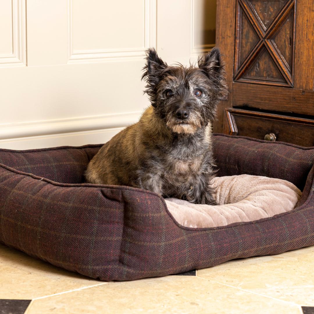 Berry Tweed And Plush Rectangle Dog Bed by House of Paws