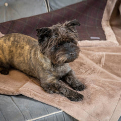 Berry Tweed And Plush Reversible Blanket by House of Paws