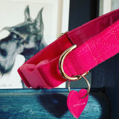 Flamingo Pink Corduroy Dog Collar