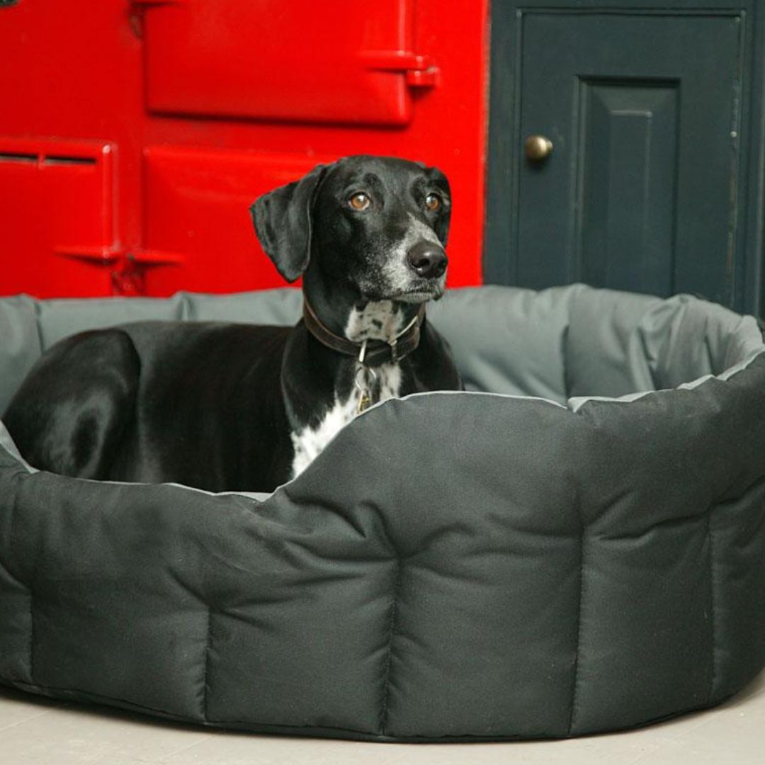 Black and Grey Country Heavy Duty Waterproof Oval Drop Front Dog Beds by P&L