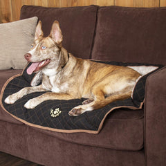Scruffs Wilton Sofa Dog Bed Black | Luxury Dog Beds