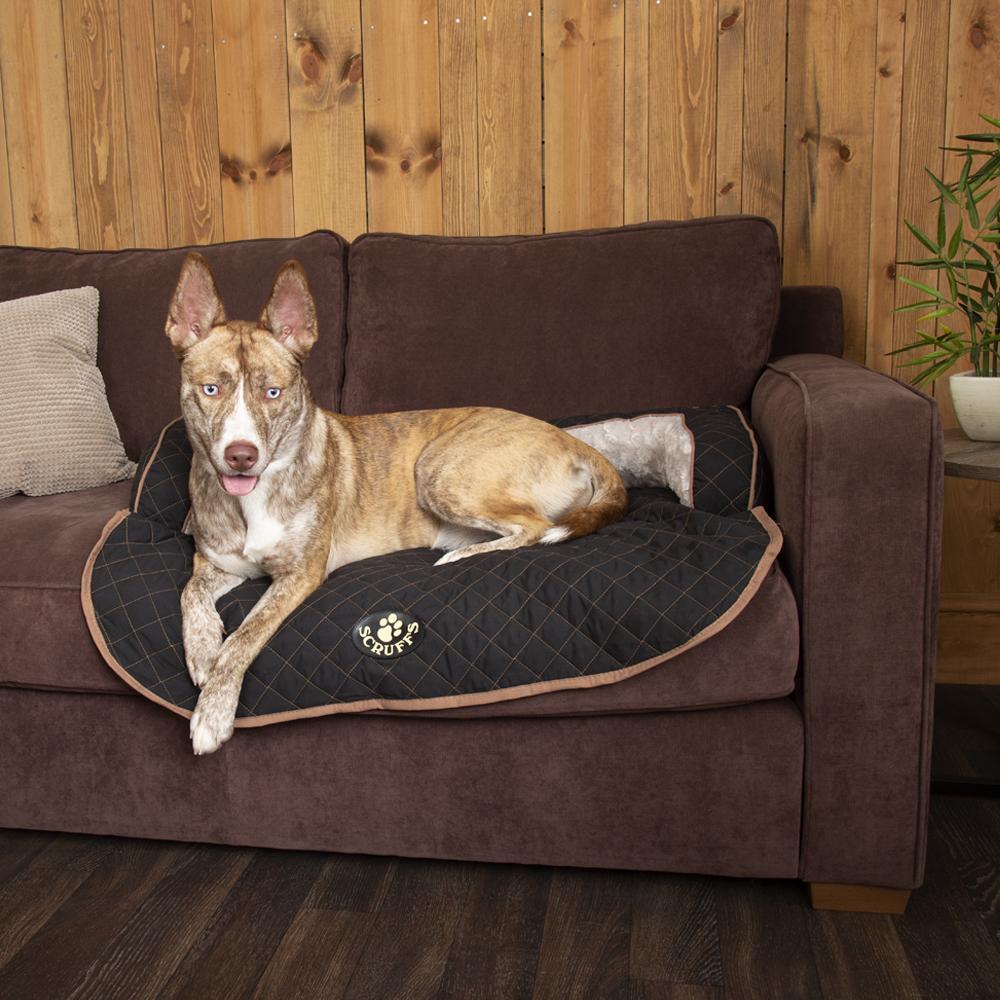 Scruffs Wilton Sofa Dog Bed Black Luxury Dog Beds Chelsea Dogs