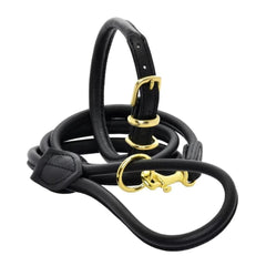 Black With Brass Rolled Leather Dog Collar and Lead by Dogs & Horses