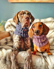 Lilac Roll Top Snood For Dogs