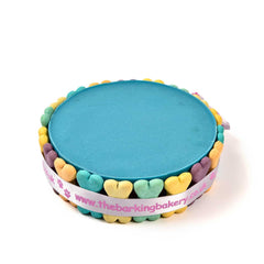 Blue Pawty Cake For Dogs | The Barking Bakery