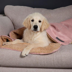 Blush Pink Snuggle Pet Blanket