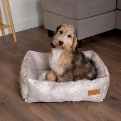 Botanical Box Dog Bed - Taupe