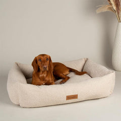 Boucle Box Dog Bed - Ivory