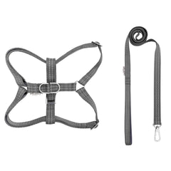 Bowl and Bone Active Grey Dog Harness and Lead Set