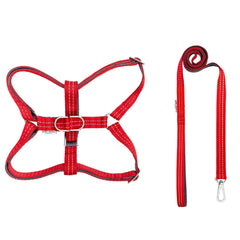 Bowl and Bone Active Red Dog Harness and Lead Set