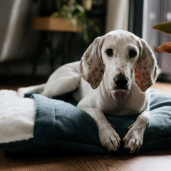 Bowl and Bone Bliss Dog Sleeping Bag