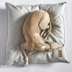 Bowl and Bone Grey Urban Dog Cushion
