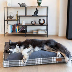 Bowl and Bone Scott Graphite Dog Cushion