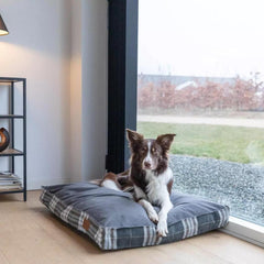 Bowl and Bone Scott Graphite Dog Cushion