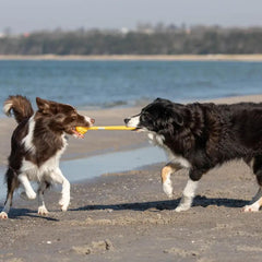 Bowl and Bone Yellow Bullet Rope Dog Toy